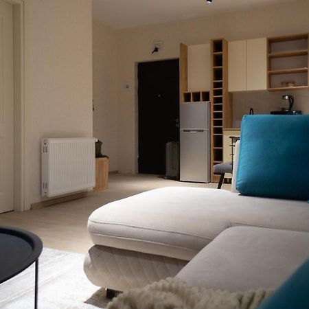 Zarku Apartments 바쿠리아니 외부 사진
