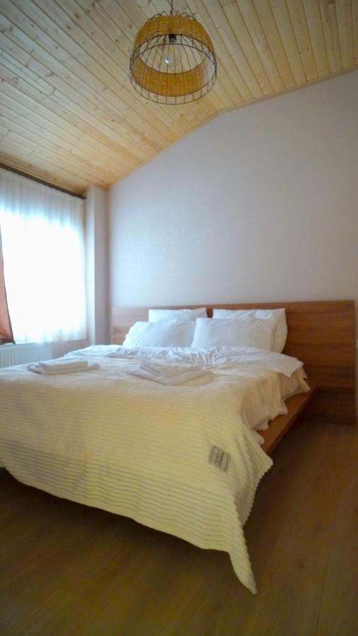 Zarku Apartments 바쿠리아니 외부 사진
